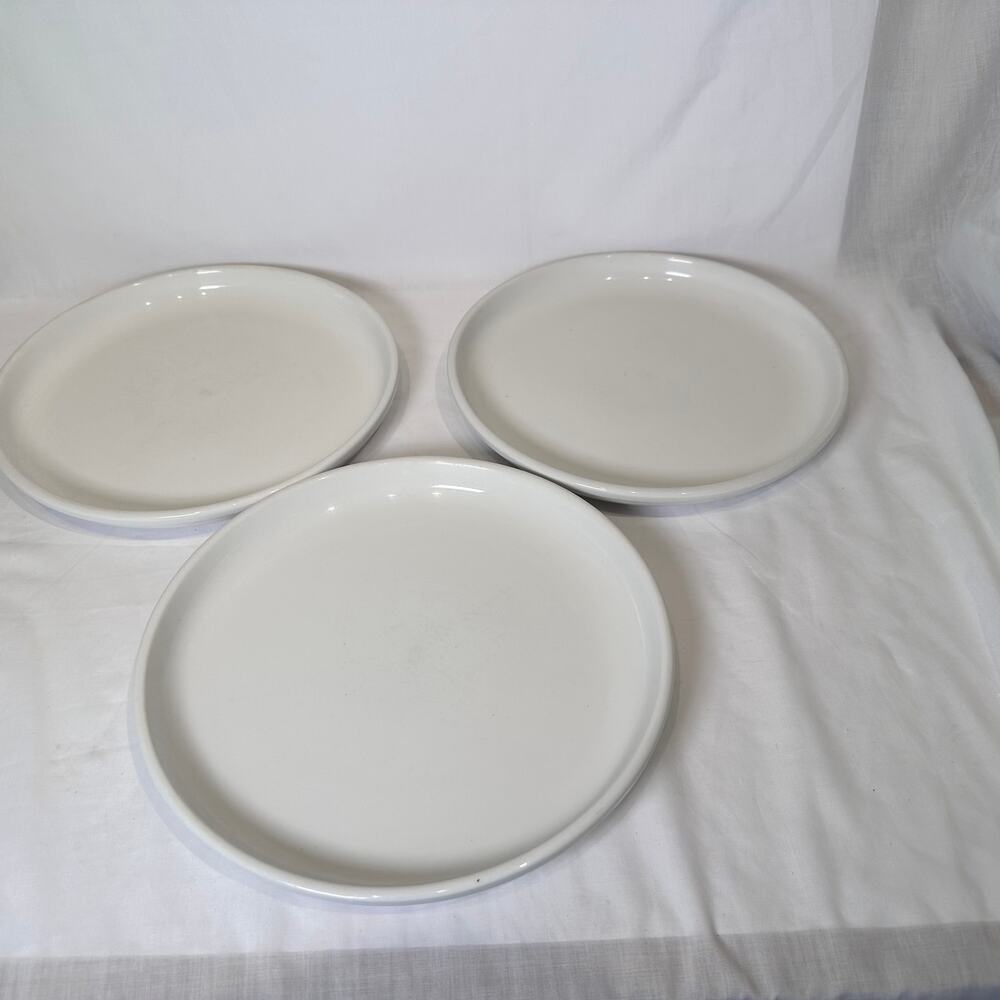 Crate & Barrel Culinary Arts Porcelain White Dinner Plate Set of 3 High Rim